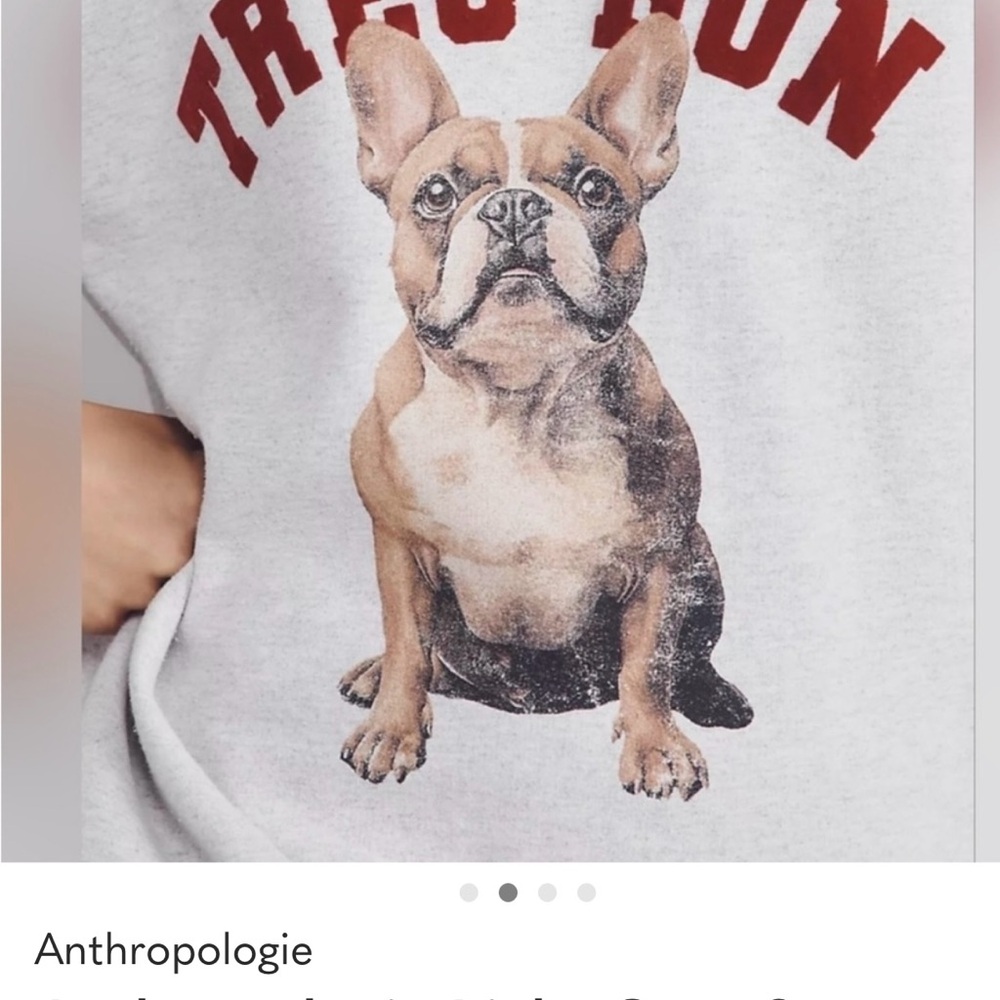 In search of Anthropologie French Bulldog Graphic Sweatshirt with this graphic